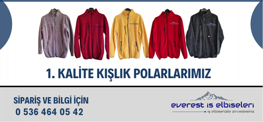 KışlıkPolar